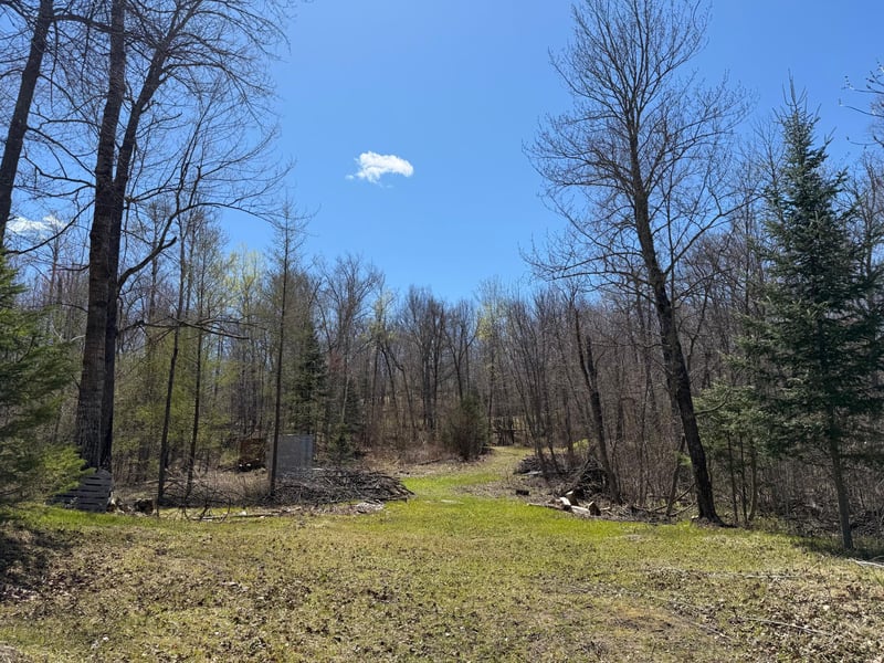 41174 Yellow Birch Ln, Emily, MN 56447