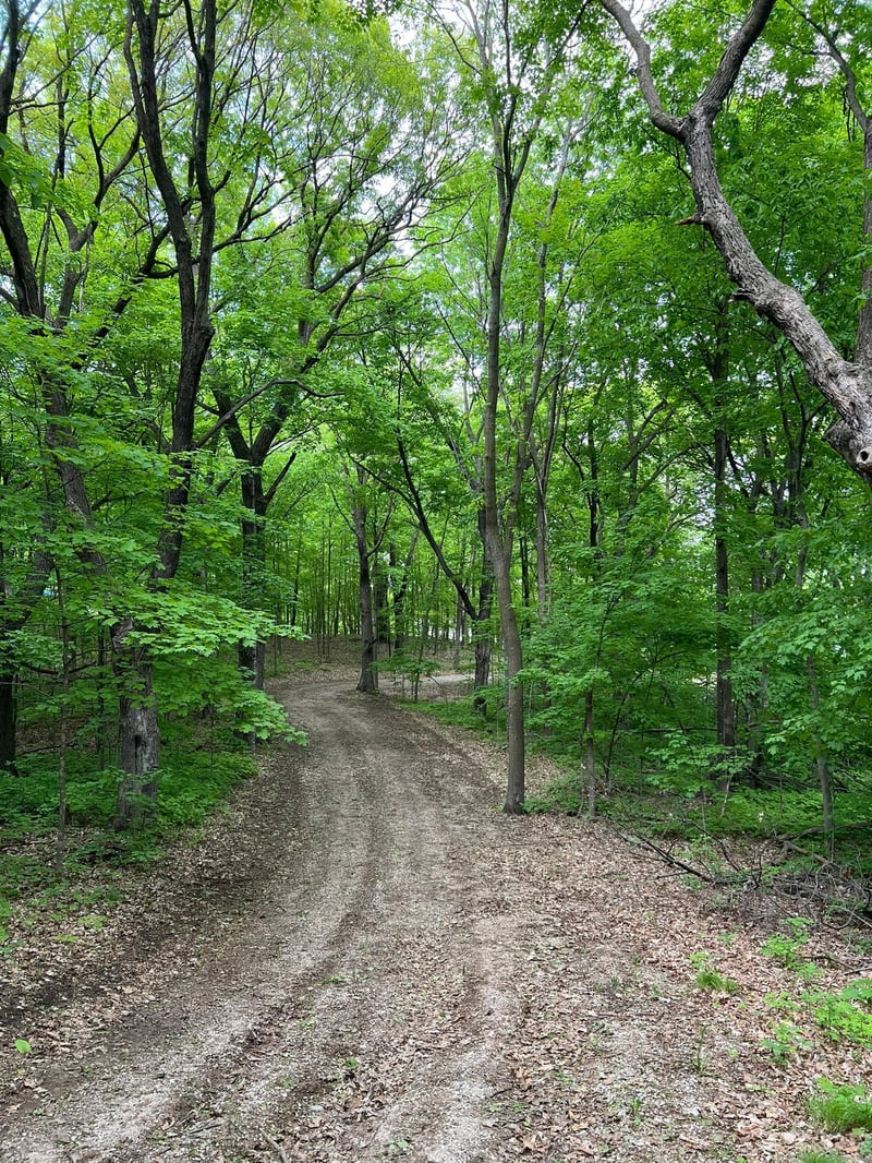 XXX Acorn Rd, Burtrum, MN 56318
