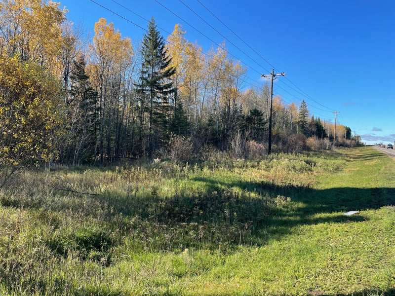 TBD Miller Trunk Hw, Hermantown, MN 55811