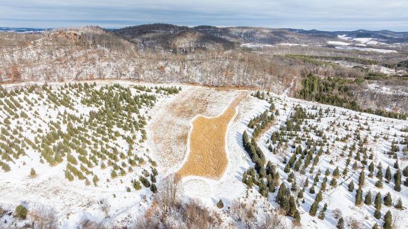 S657 County H Rd, Mondovi, WI 54755