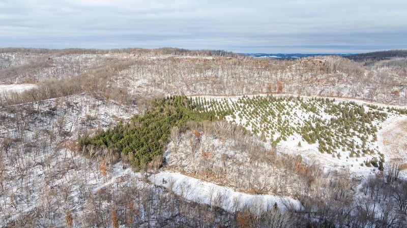 S657 County H Rd, Mondovi, WI 54755