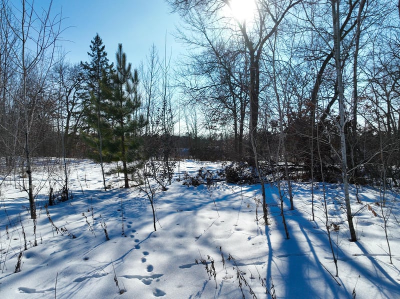 13995 Briarwood Dr, Menahga, MN 56464