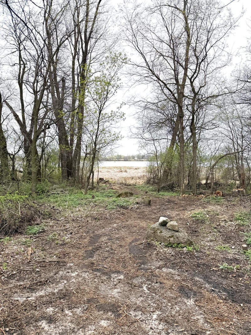 11365 Platt Ave SW, Cokato, MN 55321