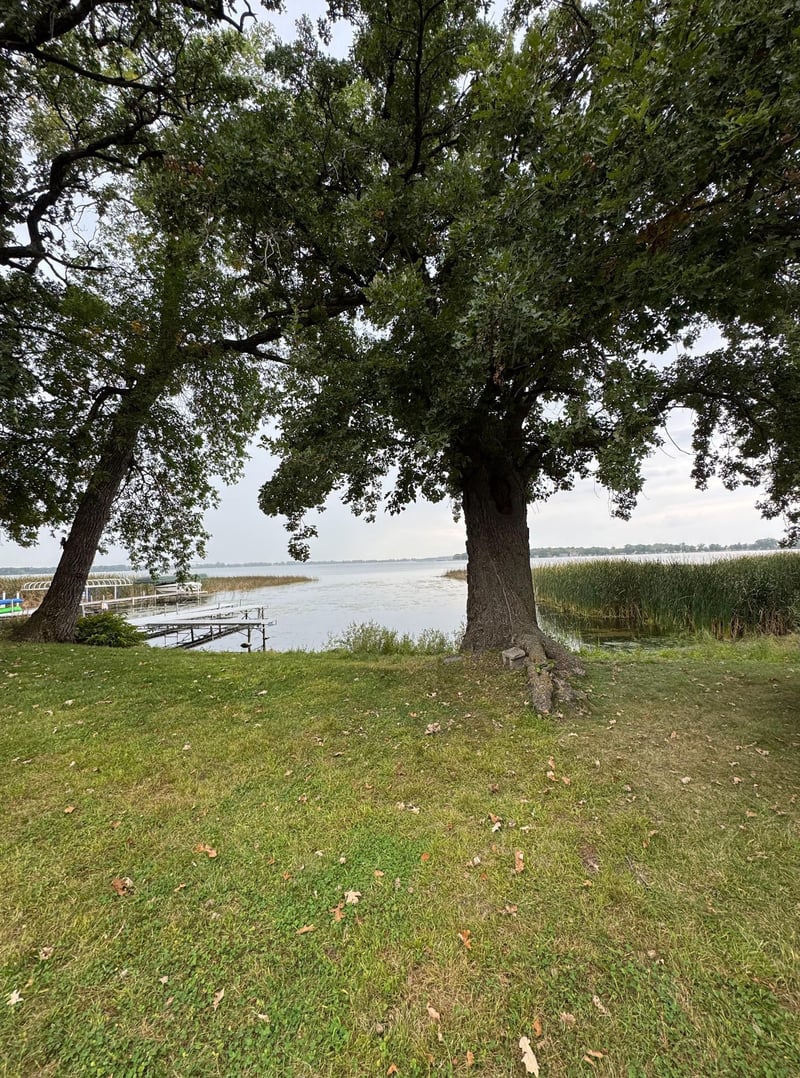 6567 159th St NE, Atwater, MN 56209