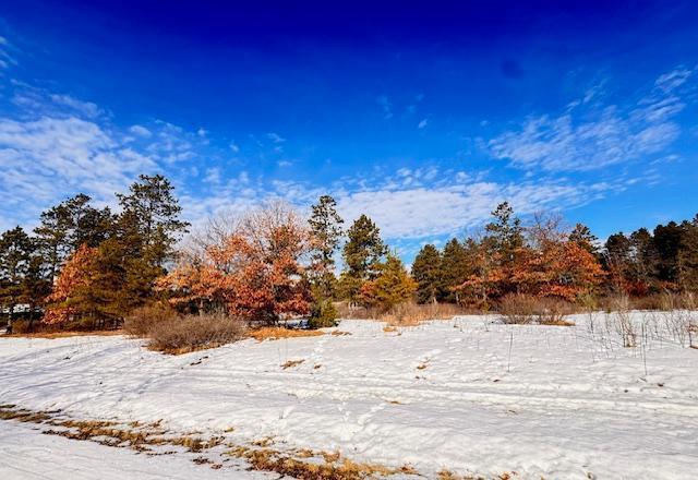 TBD Freedom Dr, Menahga, MN 56464