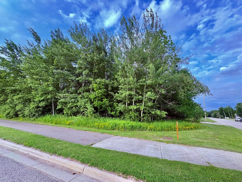TBD Gladys St Ne, Warroad, MN 56763
