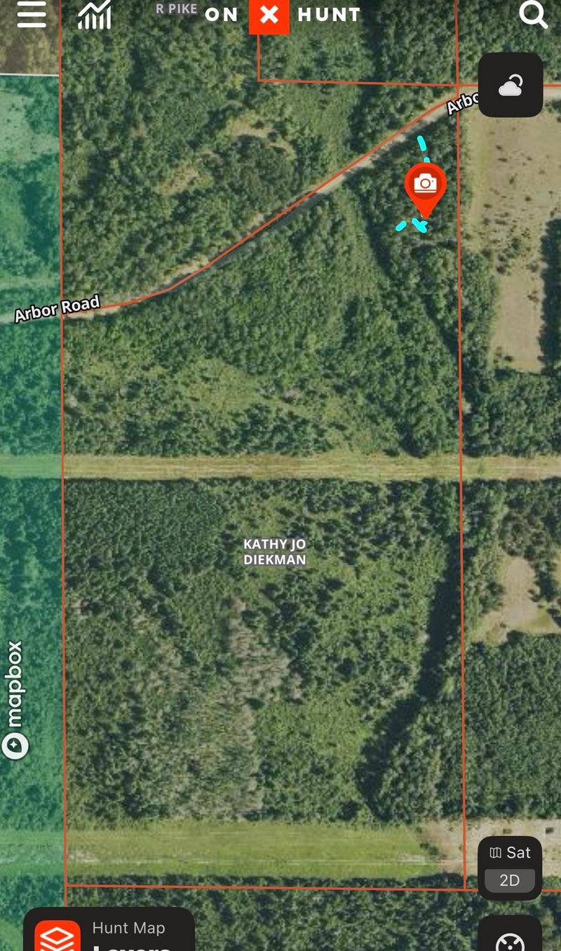 TBD Arbor Rd, Park Rapids, MN 56470
