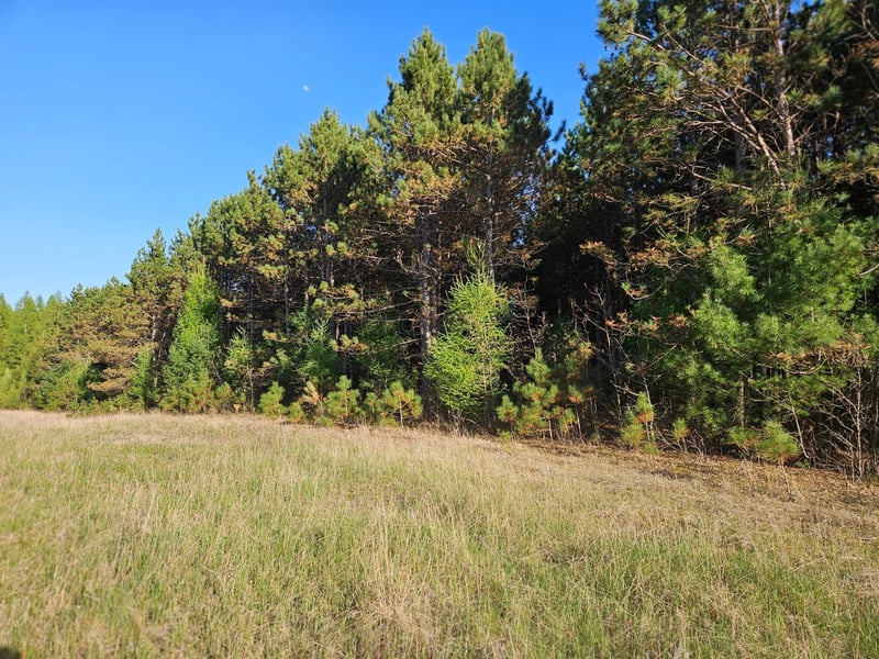 46.67 acres 630th St, Colfax, WI 54730