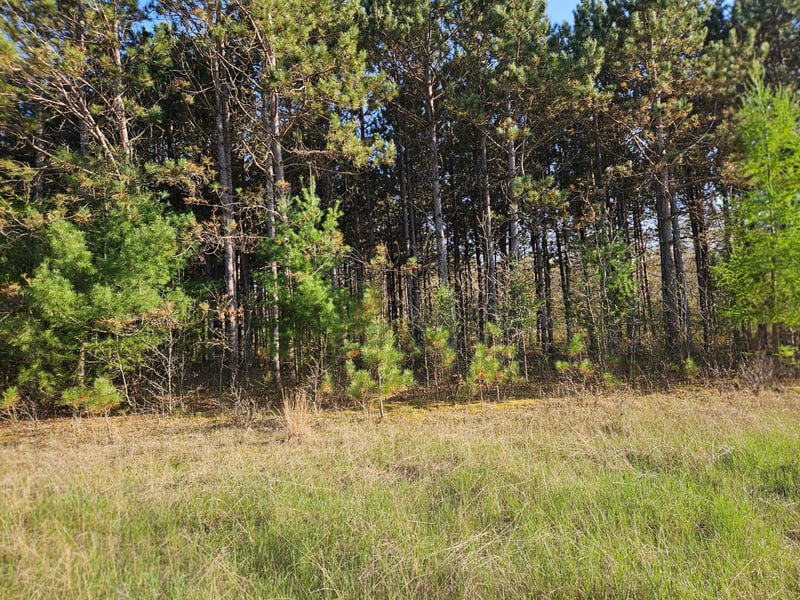 46.67 acres 630th St, Colfax, WI 54730