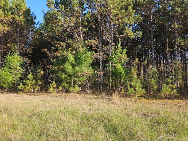 46.67 acres 630th St, Colfax, WI 54730