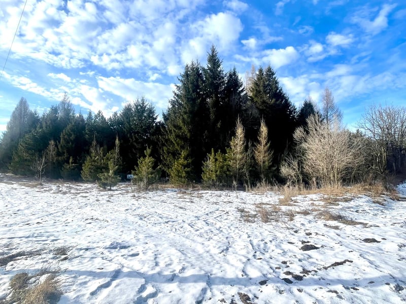46.67 acres 630th St, Colfax, WI 54730