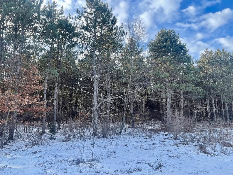 46.67 acres 630th St, Colfax, WI 54730