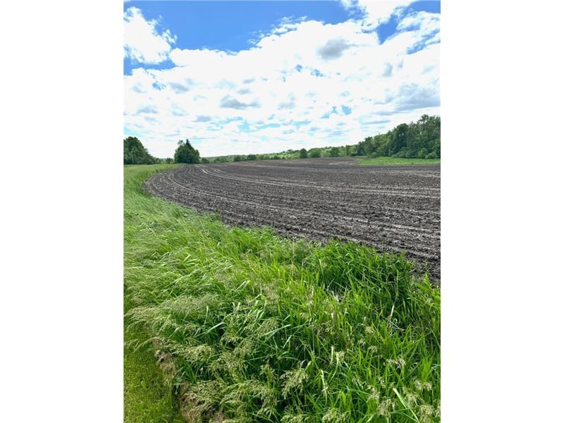 TBD Hwy 55 W, Rockford, MN 55373