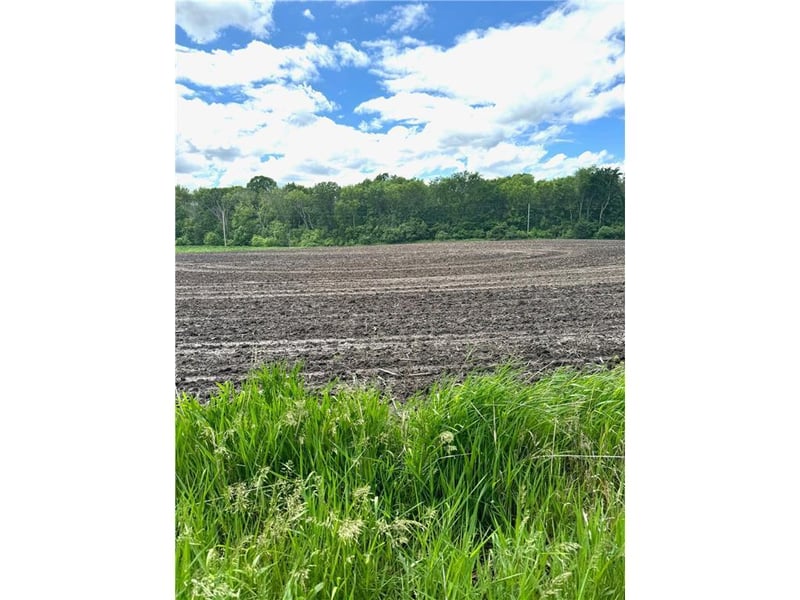 TBD Hwy 55 W, Rockford, MN 55373