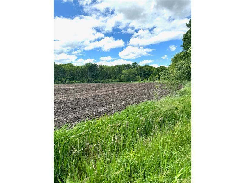 TBD Hwy 55 W, Rockford, MN 55373
