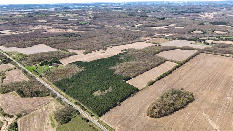 TBD Highway 93, Eleva, WI 54738