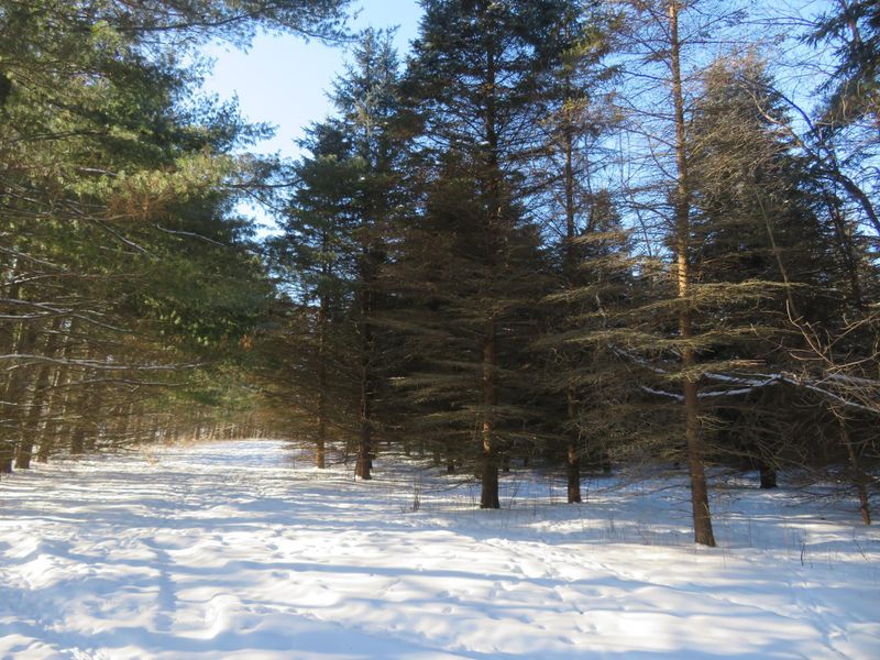 Lot 2 E Lincoln Ave, Amery, WI 54001