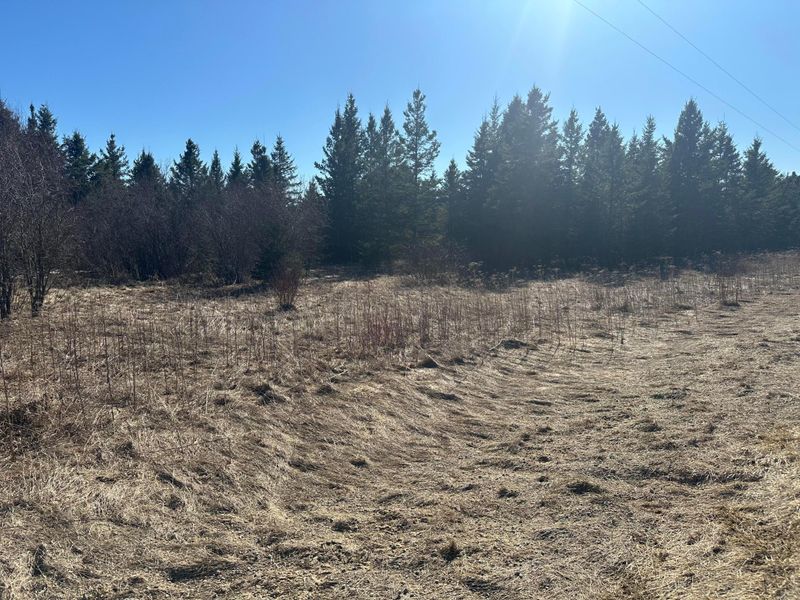 TBD County Road 31, Northome, MN 56661