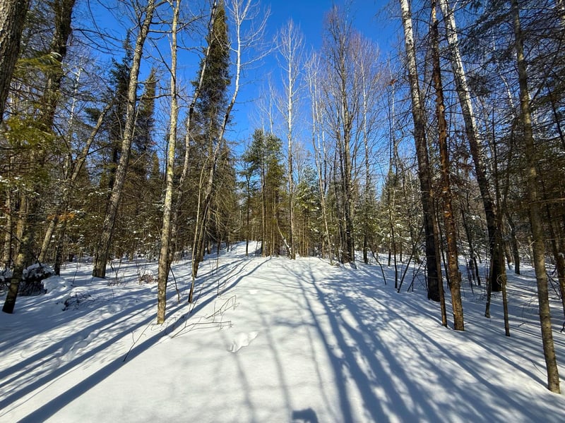 72XX E Central Lakes Road Lot A, Eveleth, MN 55734