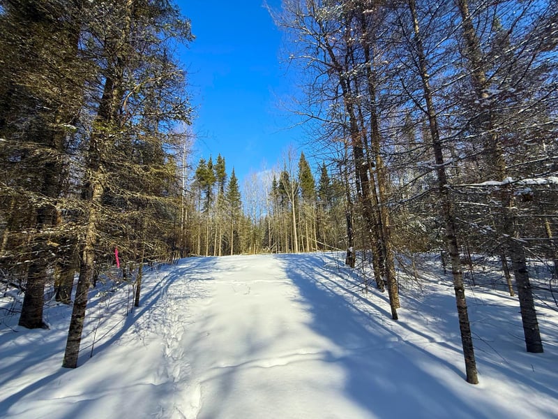 72XX E Central Lakes Road Lot A, Eveleth, MN 55734