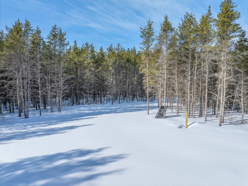 8352 Highway 21 N, Babbitt, MN 55706