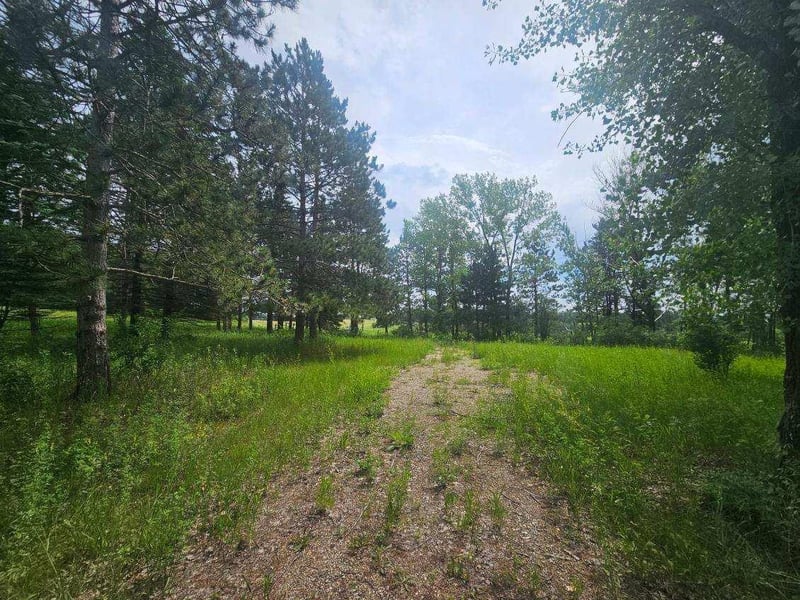 44985 400th Ave, Perham, MN 56573