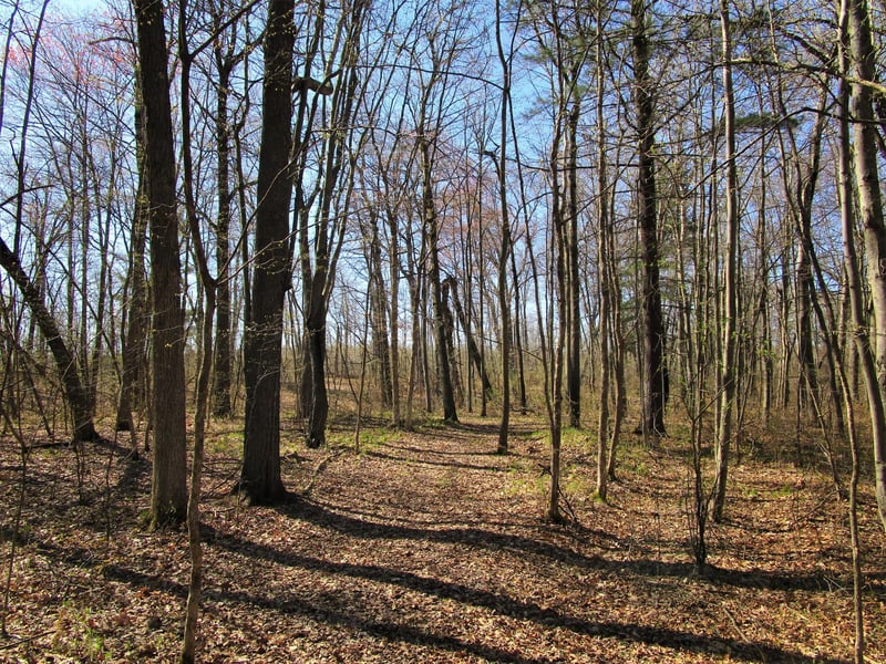 XX 120th St, Frederic, WI 54837