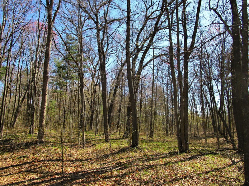 XX 120th St, Frederic, WI 54837