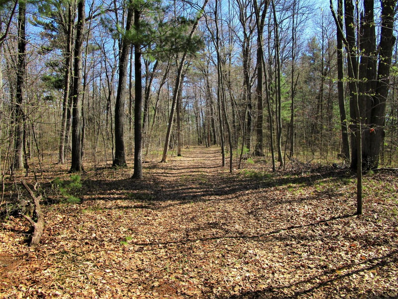 XX 120th St, Frederic, WI 54837