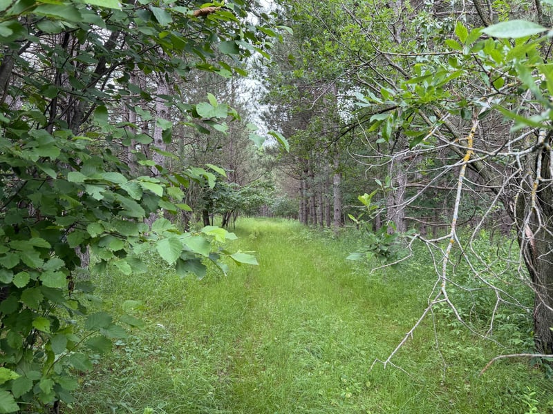 32656 310th St, Browerville, MN 56438