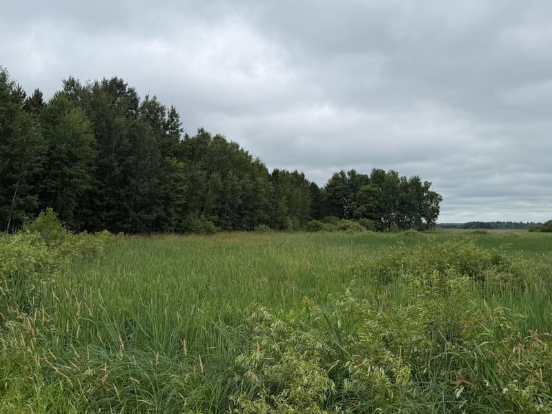 32656 310th St, Browerville, MN 56438