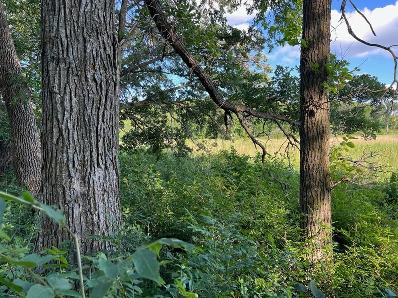 C-1 Co Hwy 17, Vergas, MN 56587