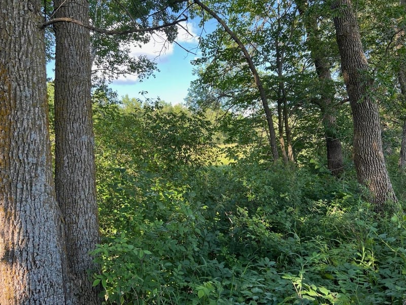 C-1 Co Hwy 17, Vergas, MN 56587