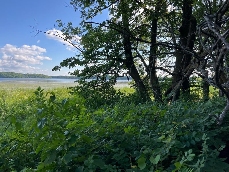 C-1 Co Hwy 17, Vergas, MN 56587