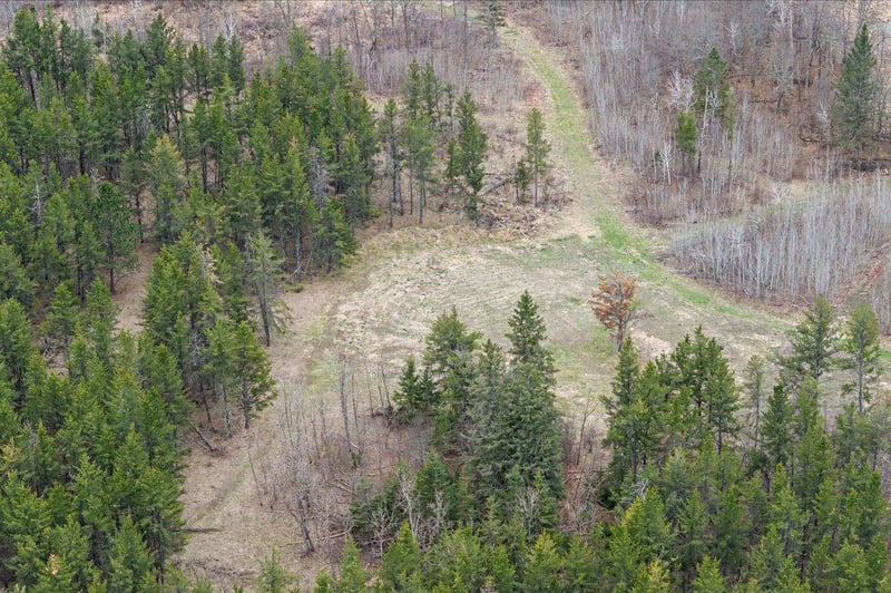 TBD 65th Ave SW, Motley, MN 56466