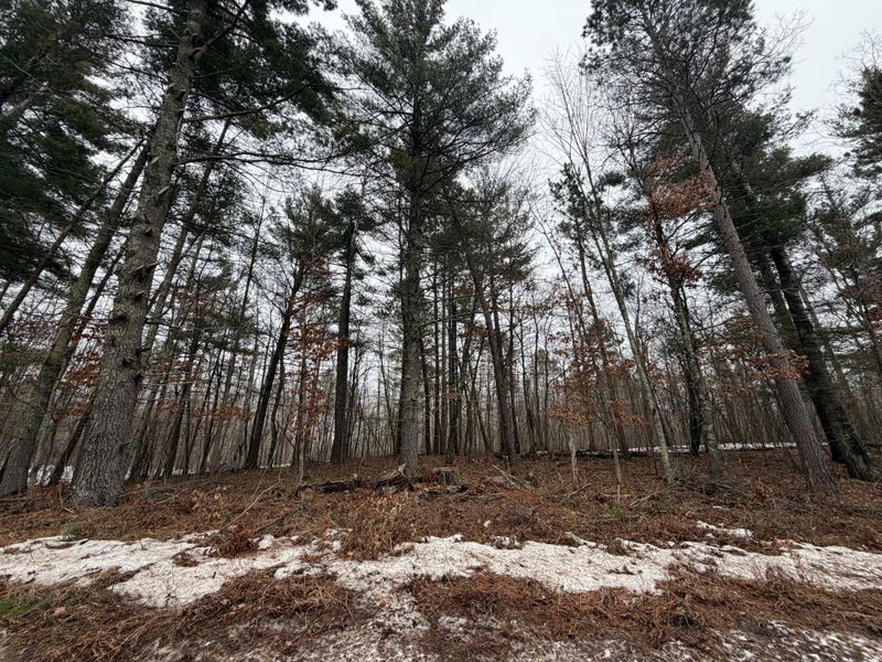 xxxxx County Rd H, Scott Twp, WI 54830