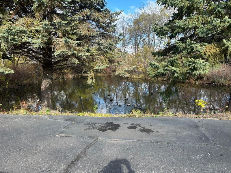 12565 Marion Ct, Rogers, MN 55374
