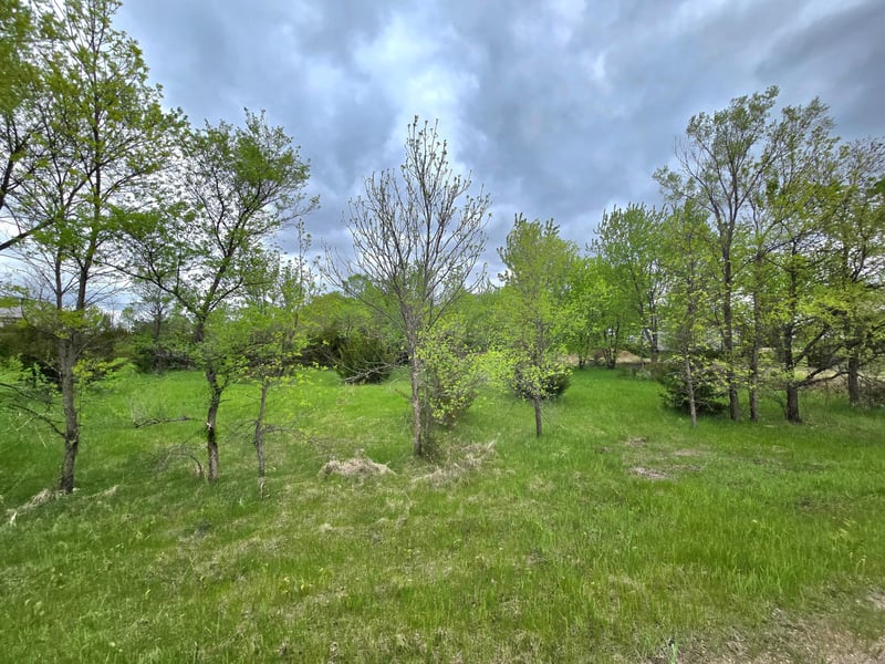 316 Woodsedge Rd, Clearwater, MN 55320