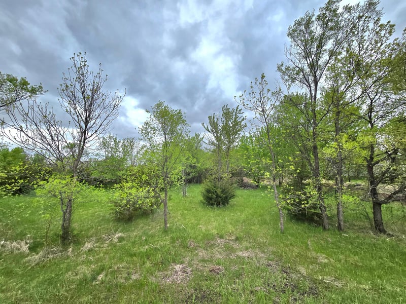316 Woodsedge Rd, Clearwater, MN 55320