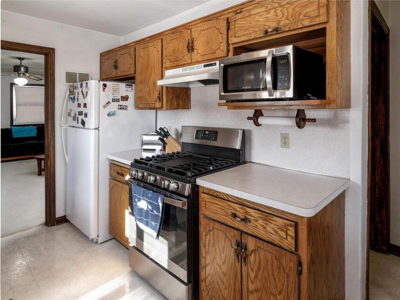 1233 Parallel St, Chaska, MN 55318