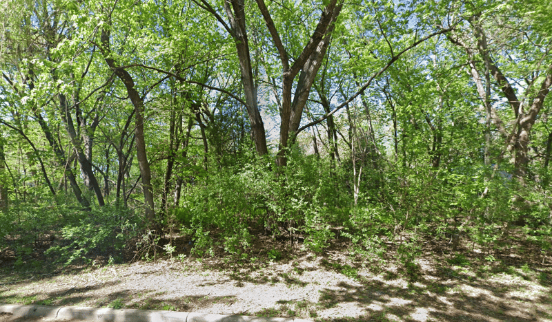 1260 79th St, Victoria, MN 55386