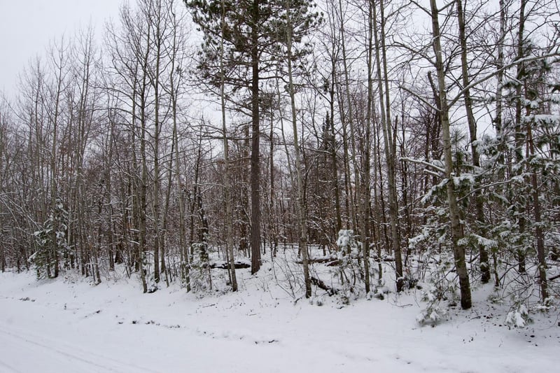TBD Sheridan Woods Ln NE, Outing, MN 56662