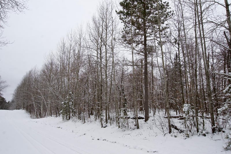TBD Sheridan Woods Ln NE, Outing, MN 56662