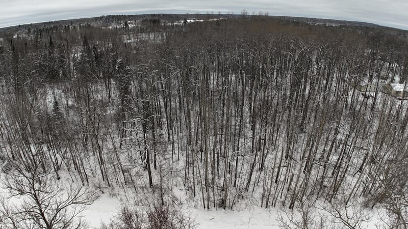 XXXX Sheridan Woods Ln NE, Outing, MN 56662