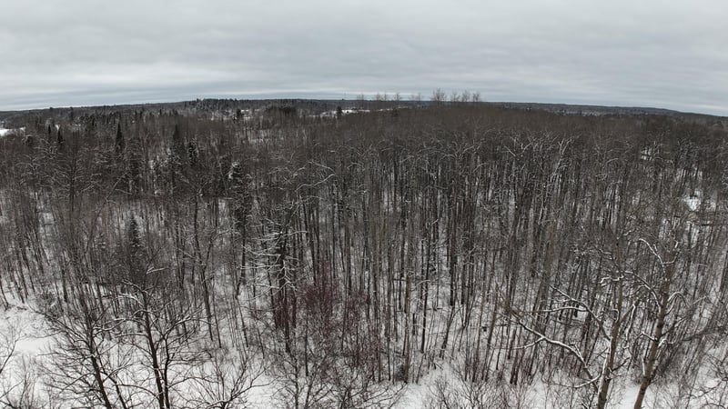 XXXX Sheridan Woods Ln NE, Outing, MN 56662