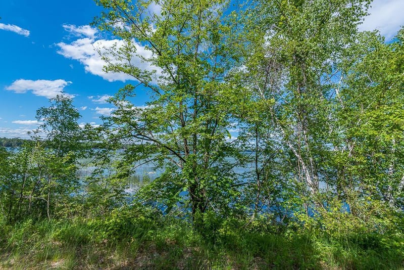 TBD Lower Cullen Rd, Nisswa, MN 56468