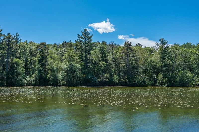 TBD Lower Cullen Rd, Nisswa, MN 56468
