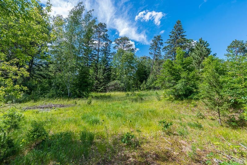 TBD Lower Cullen Rd, Nisswa, MN 56468