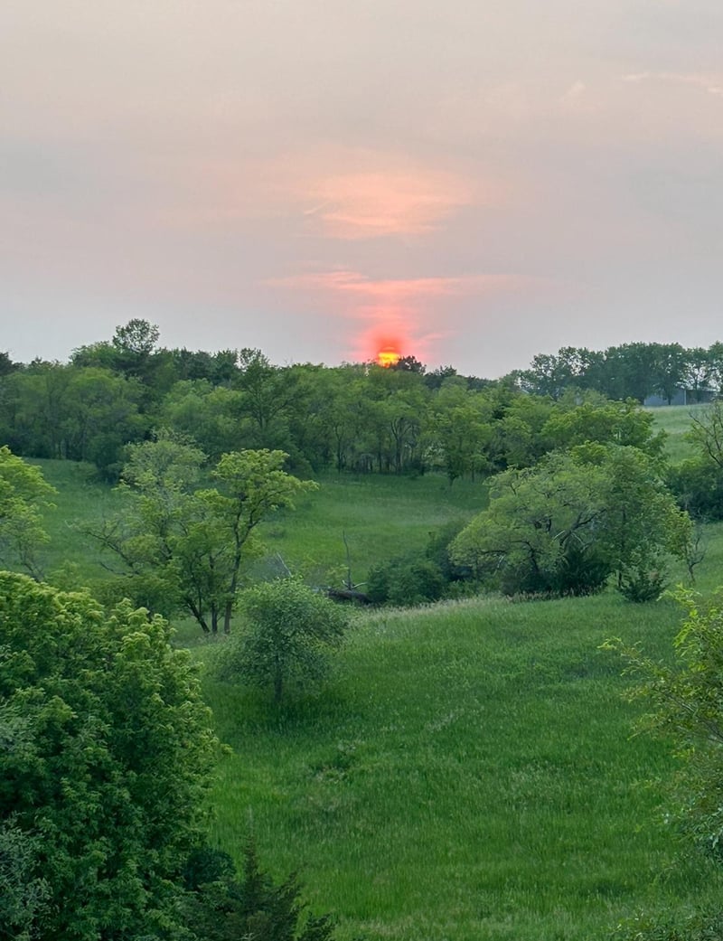 TBD Moore St, Starbuck, MN 56381