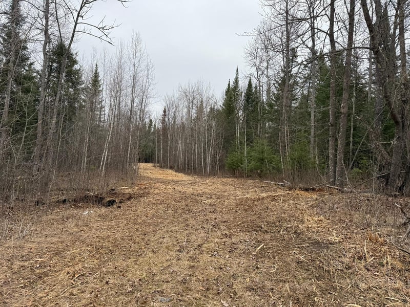 42585 N Little Turtle Lake Rd, Marcell, MN 56657